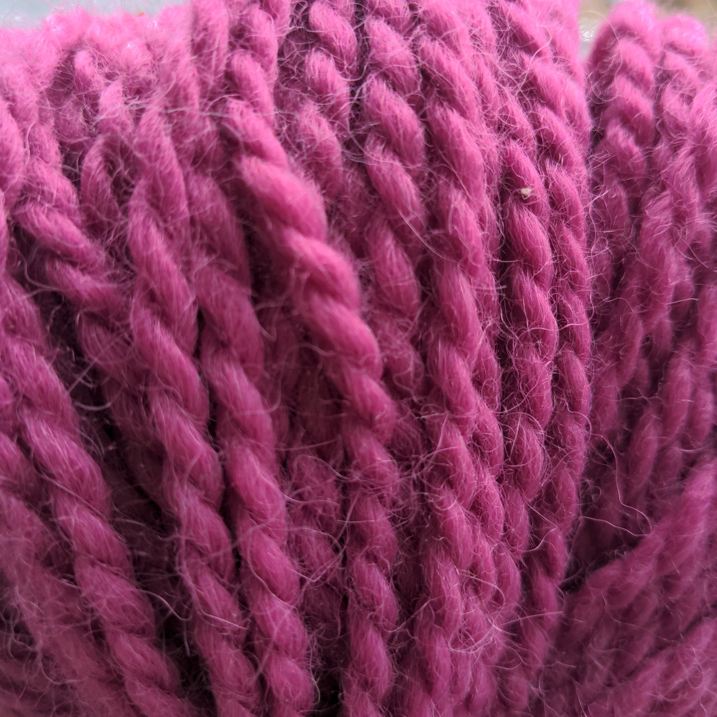Oko -Alpaca