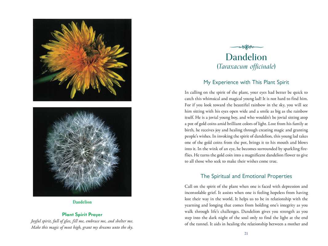 Divine Nature of Plants