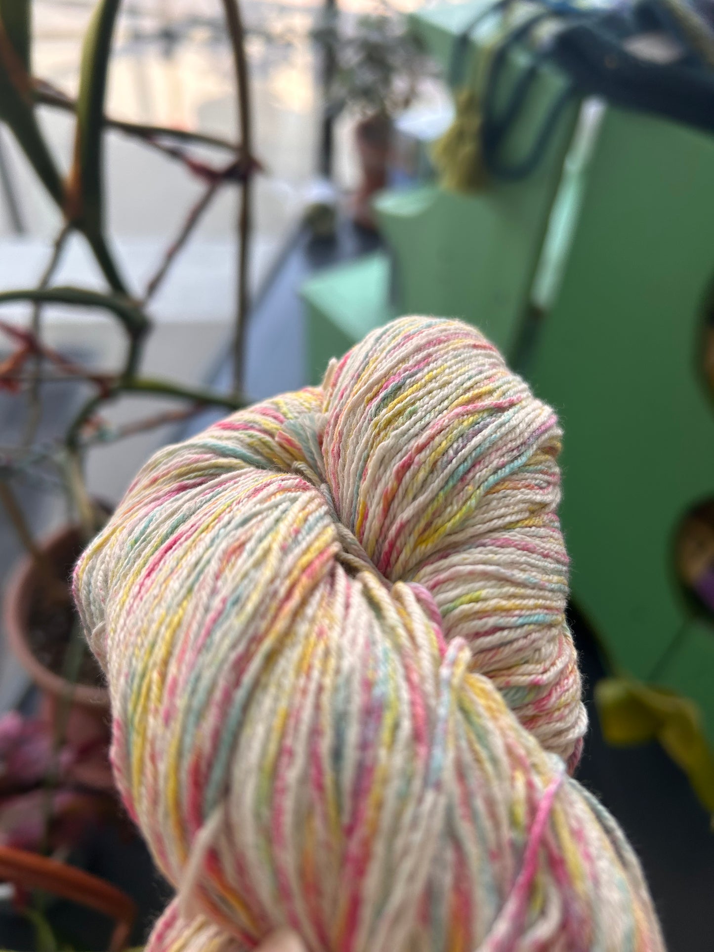 Cotton Sox Splash
