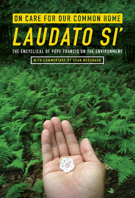 On Care for Our Common Home, Laudato Si' : The Encyclical of Pope Francis on the Environment