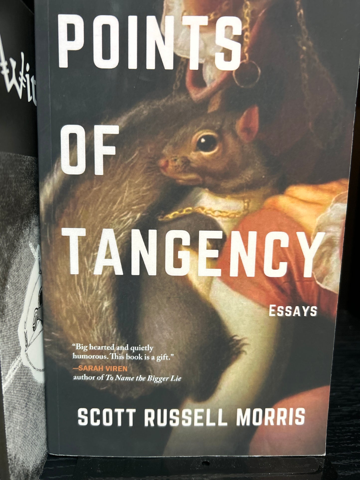 Points of Tangency: Essays