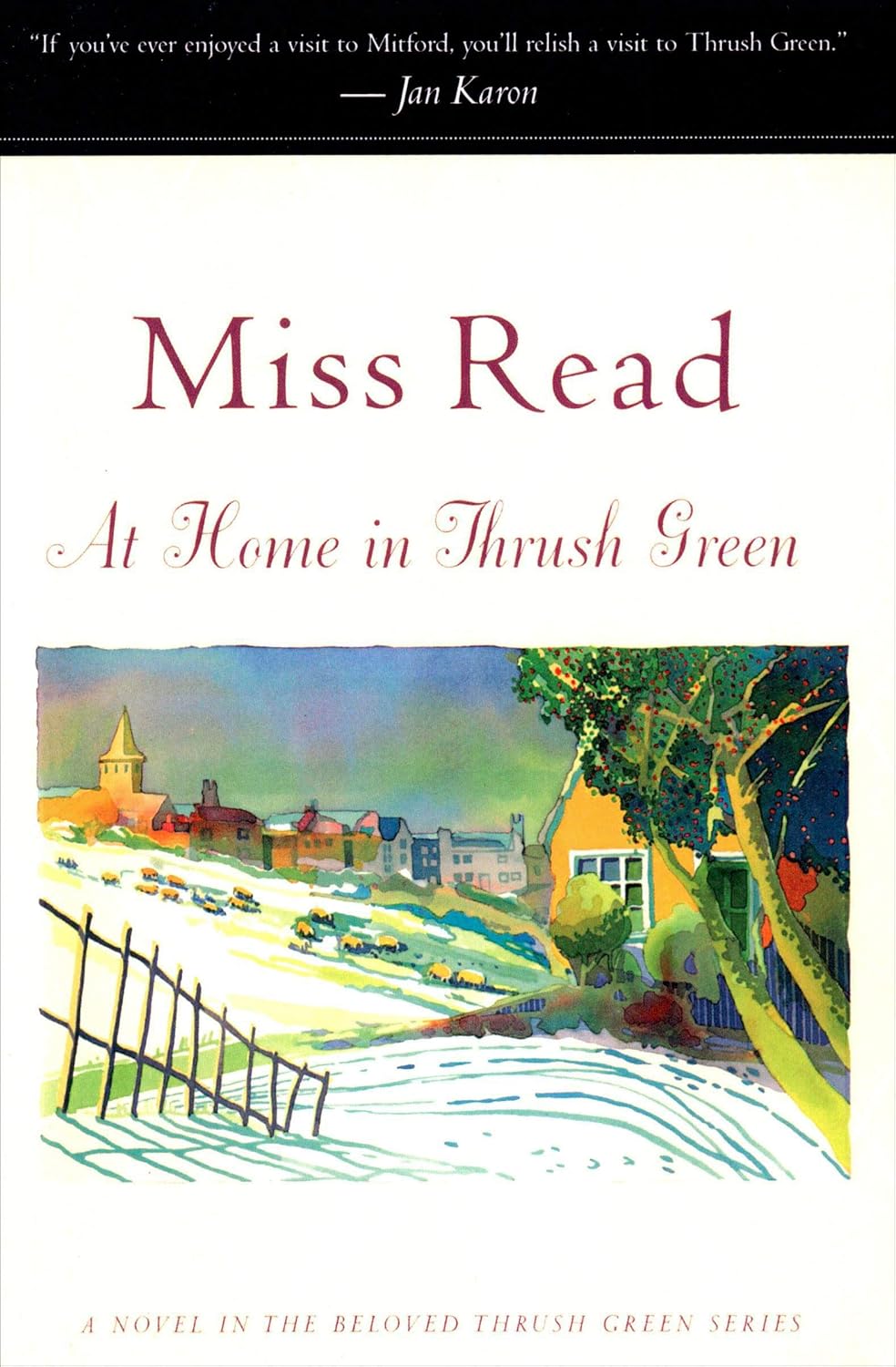 At Home in Thrush Green (Thrush Green, Book 8)