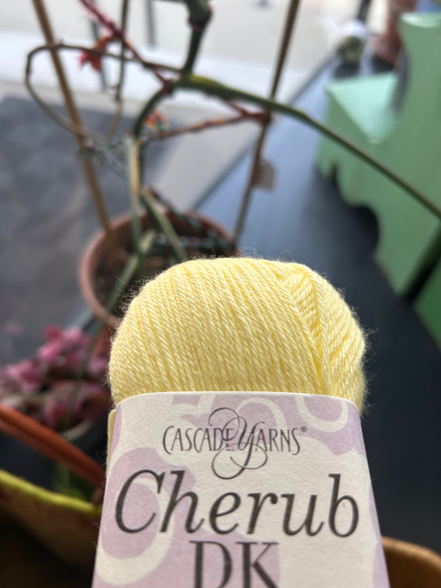 Cherub DK