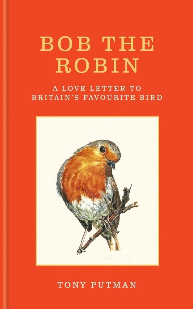 Bob the Robin: A Love Letter to Britain’s Favourite Bird