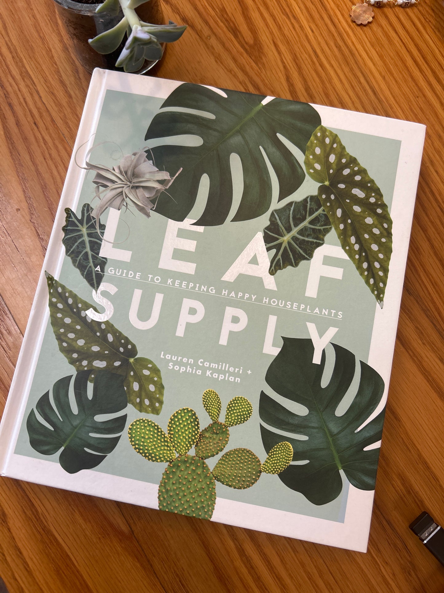 Leaf Supply: Guide to Keeping Happy Houseplants