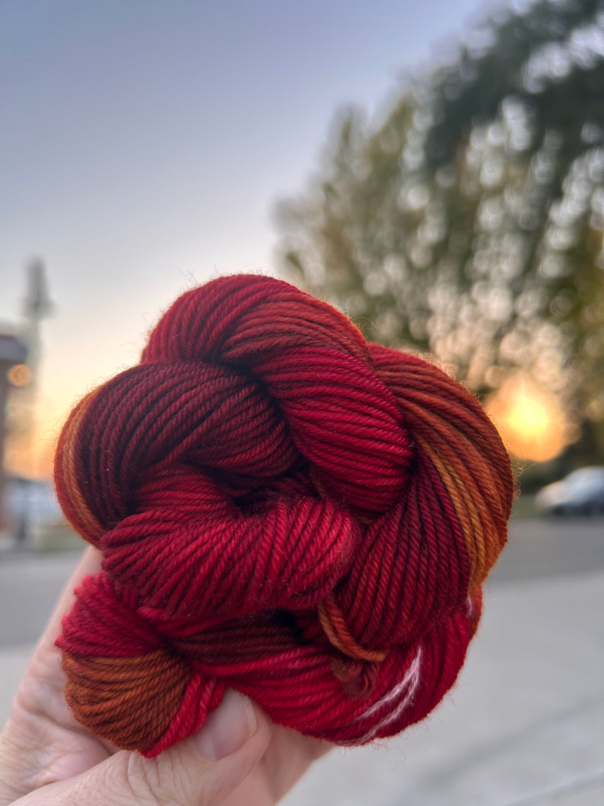 Wren & Purl Sock Minis