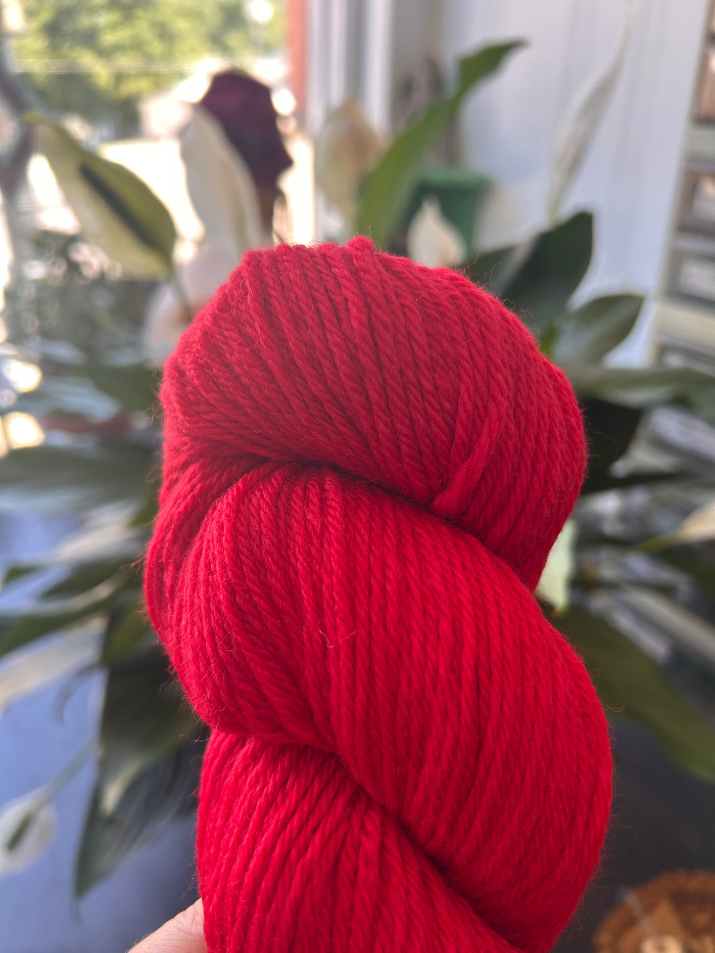 Cascade 220