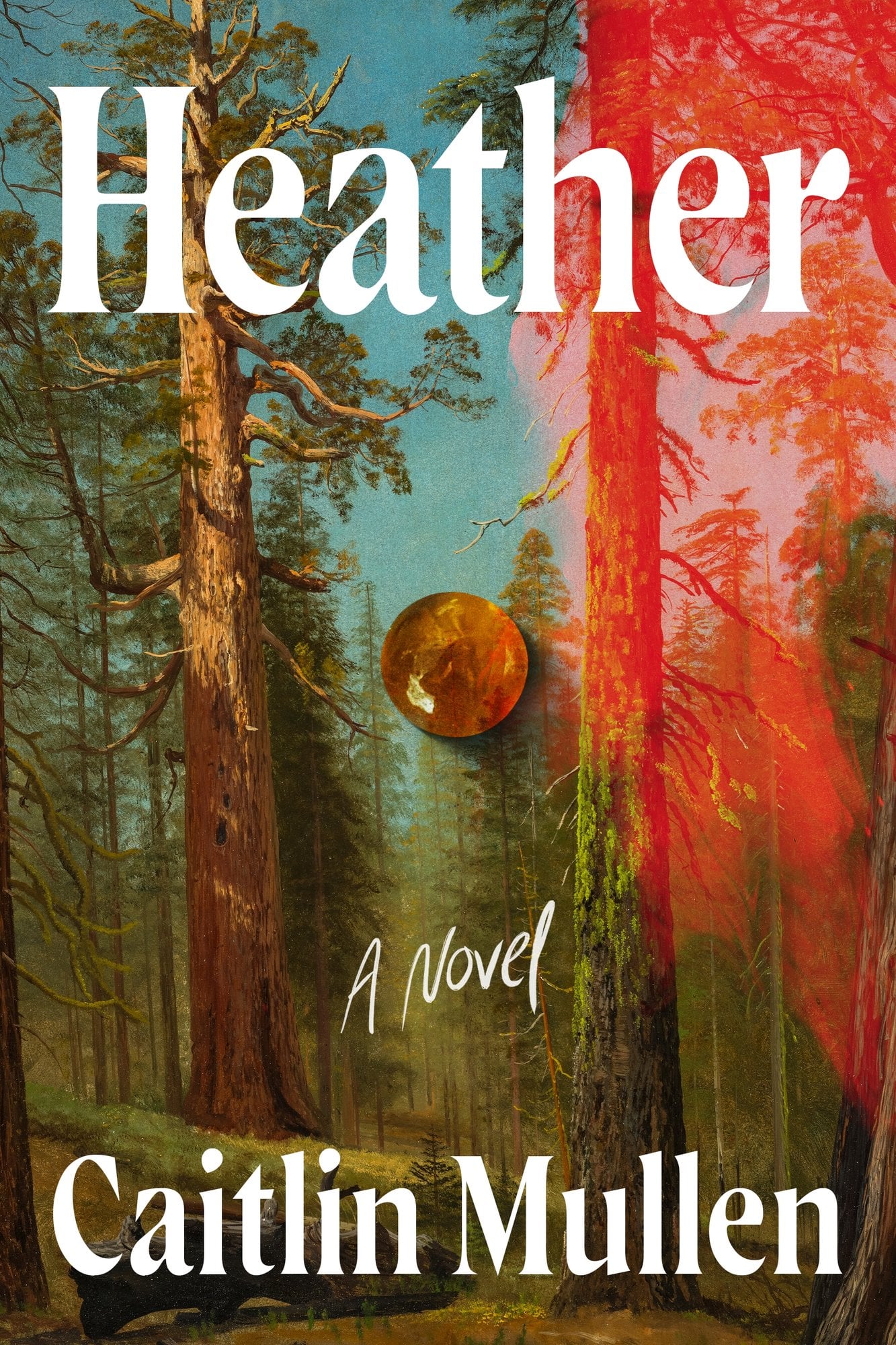 Heather: A novel