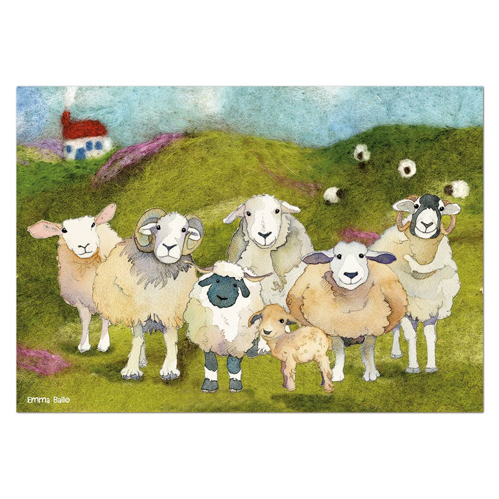 Felted Sheep 1000 Piece Boxed Jigsaw