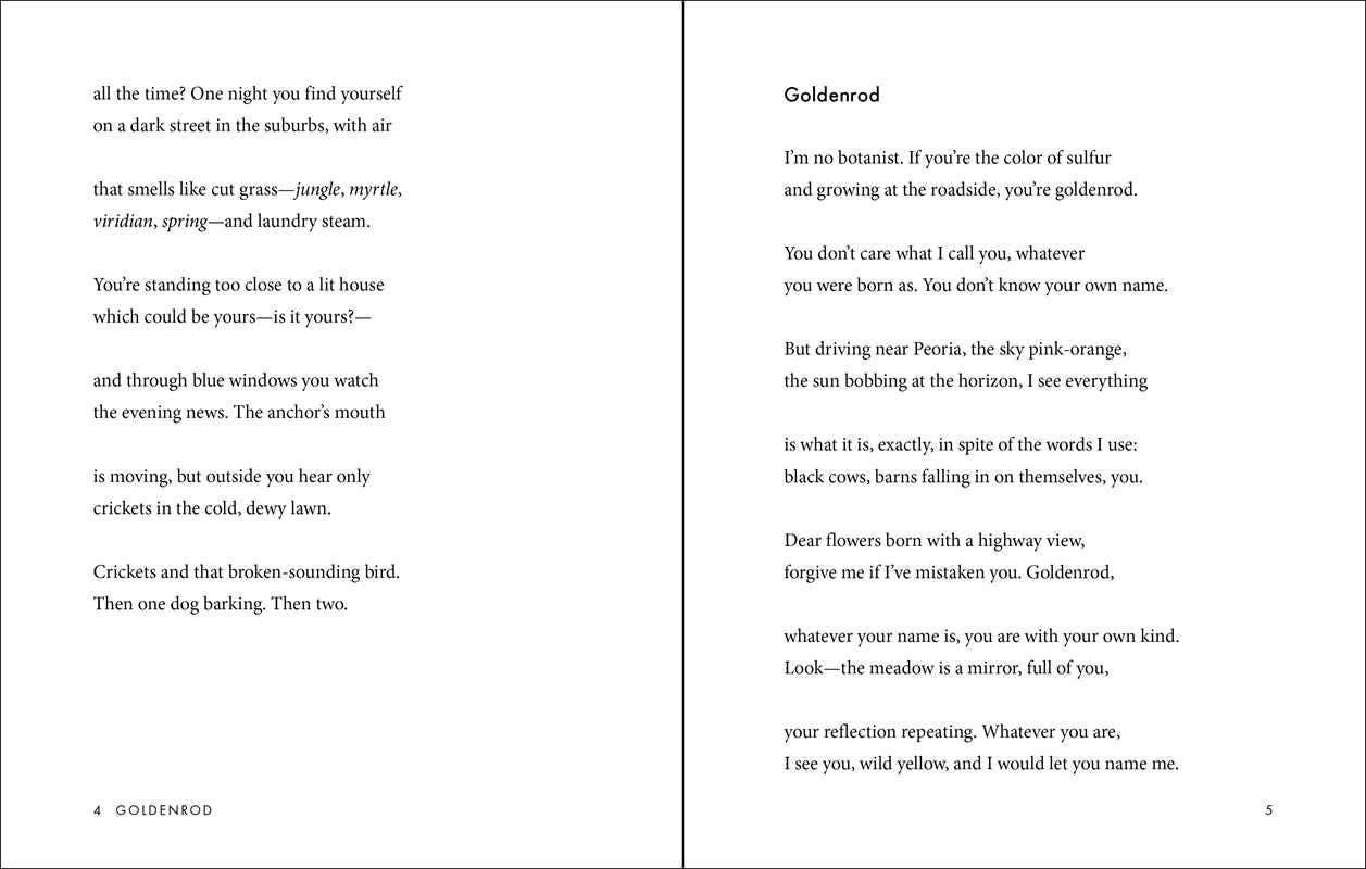 Goldenrod: Poems