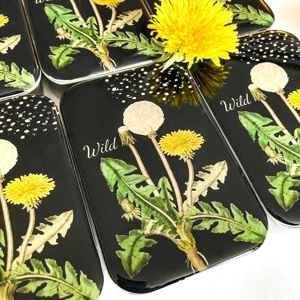 Dandelion Notions Tin