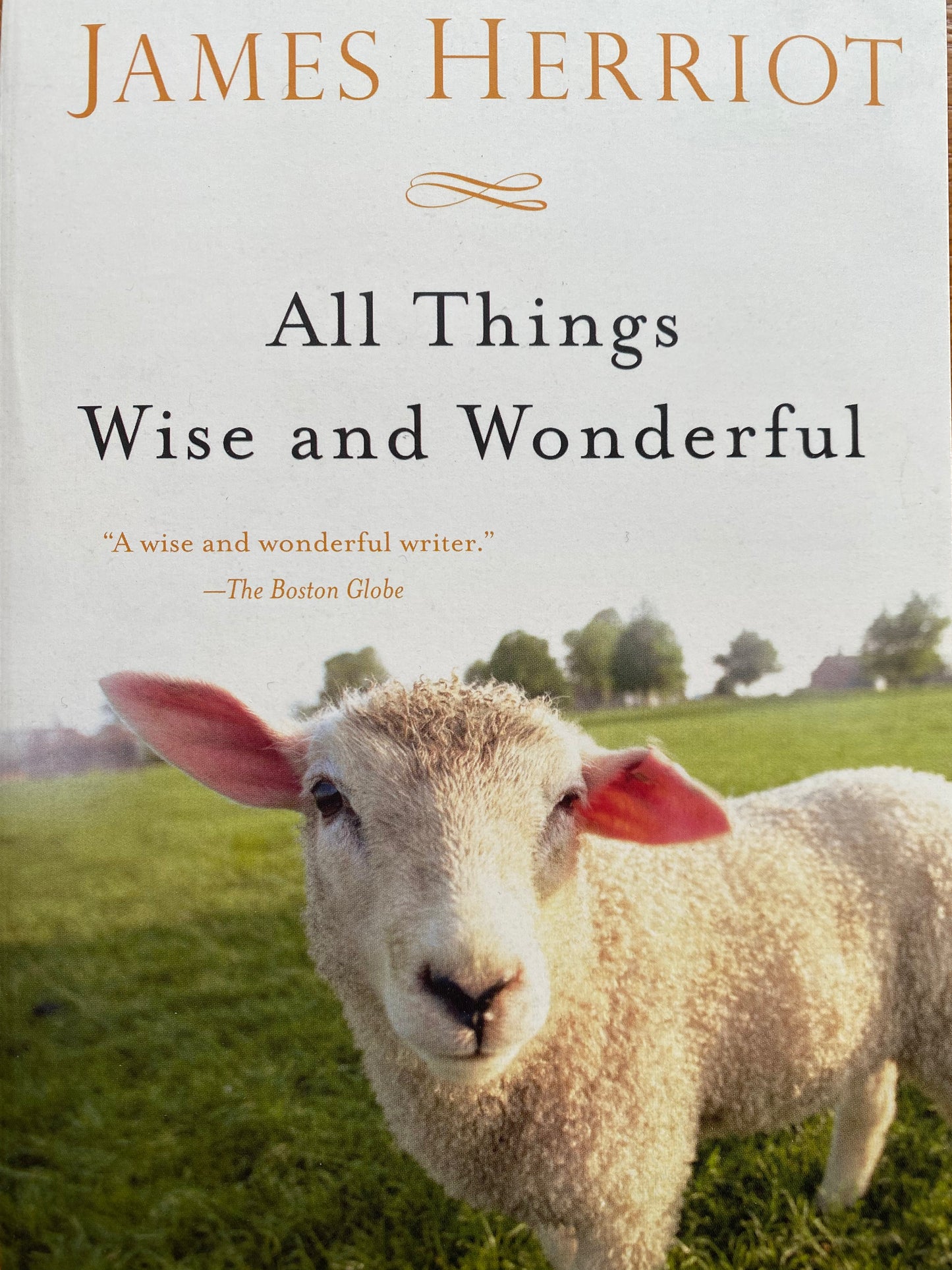 All Things Wise and Wonderful