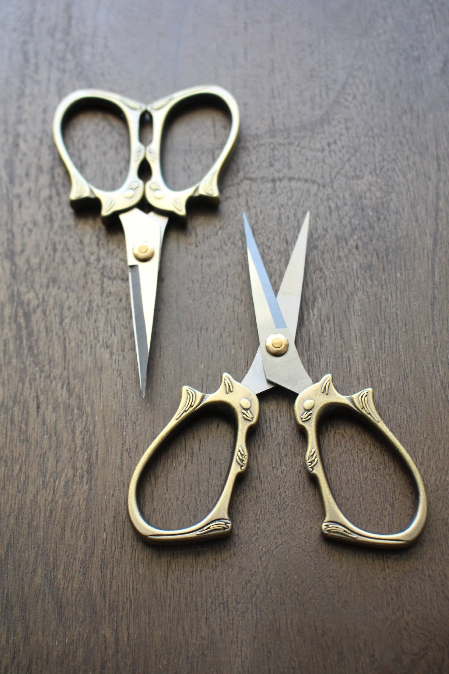 Squirrel Scissors