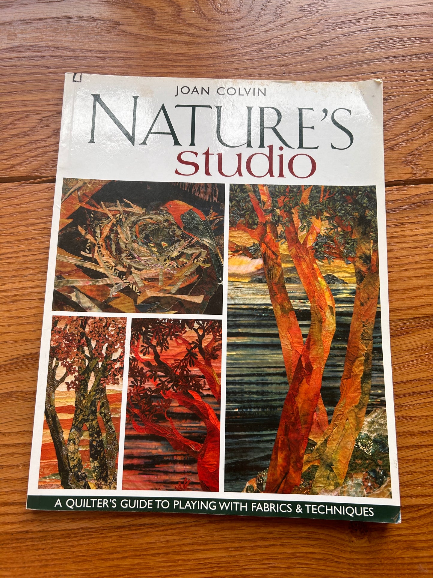 Nature's Studio: A Quilter's Guide to Playing with Fabrics & Techniques