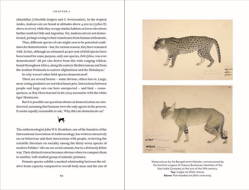 Cat Tales: A History