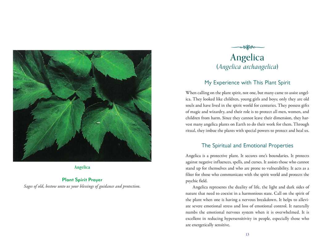 Divine Nature of Plants