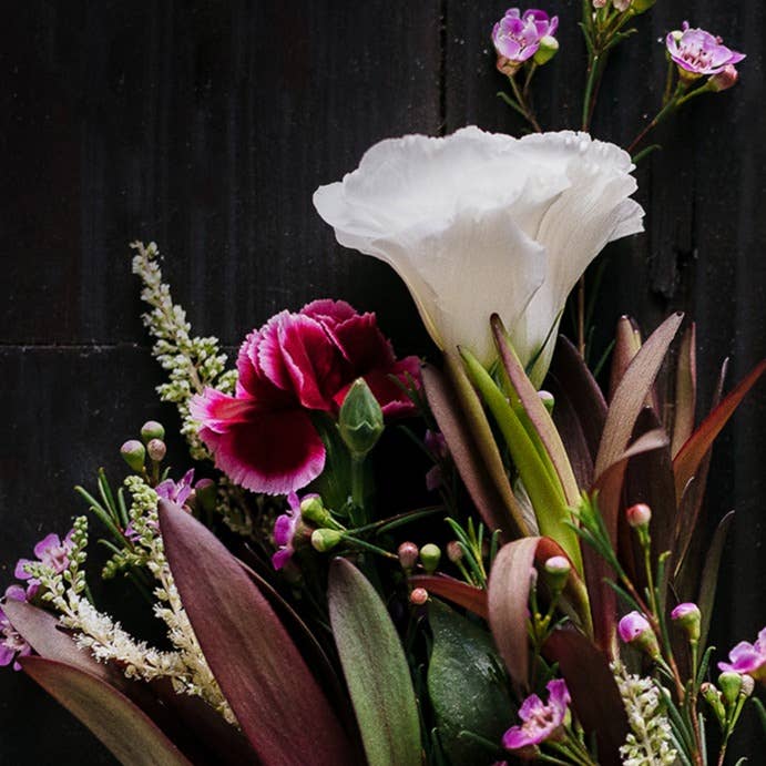 Rice Water Conditioner Bar | Terrace Garden™ | Dry Hair