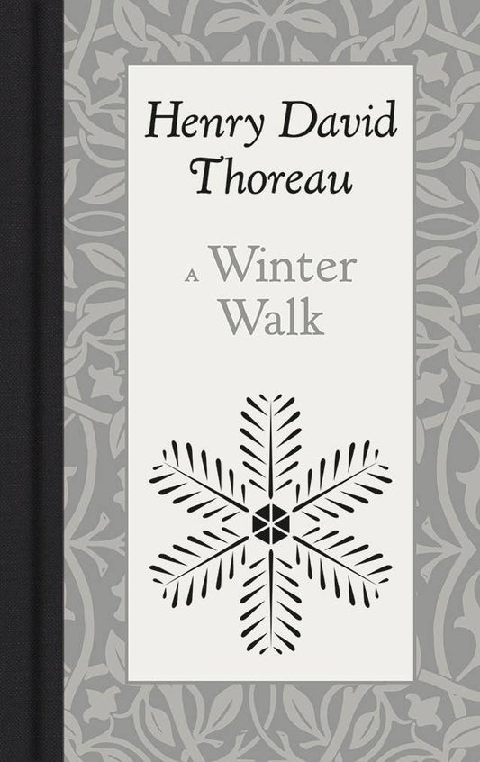 A Winter Walk