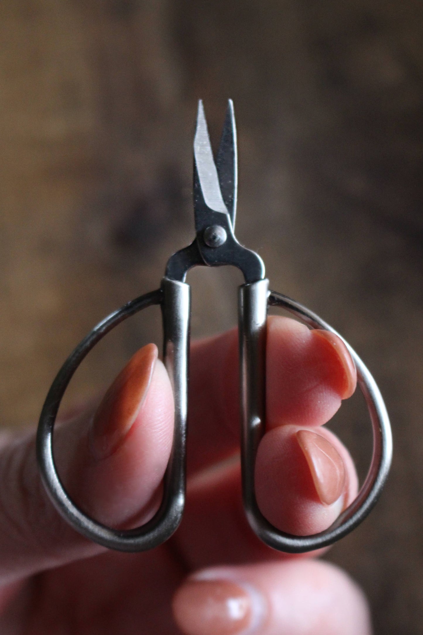 Mini Bonsai Snips