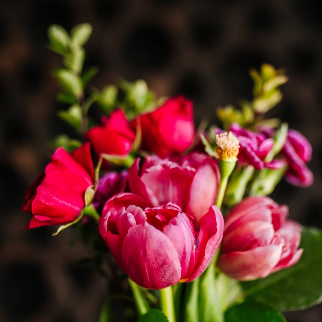 Rice Water Shampoo Bar | Terrace Garden™ | Dry Hair