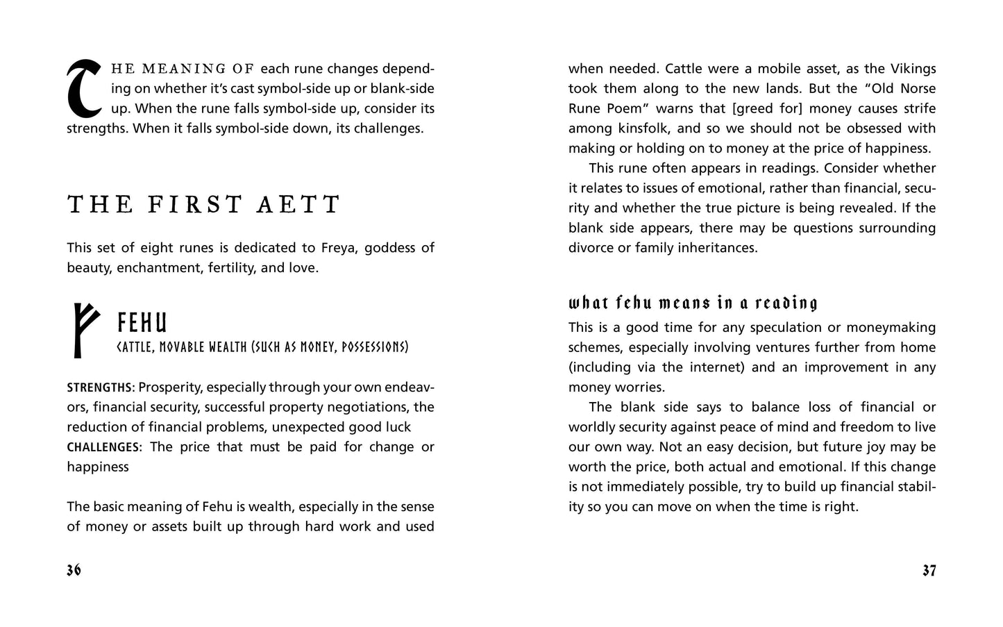 Essential Runes Kit: Reading the Ancient Symbols