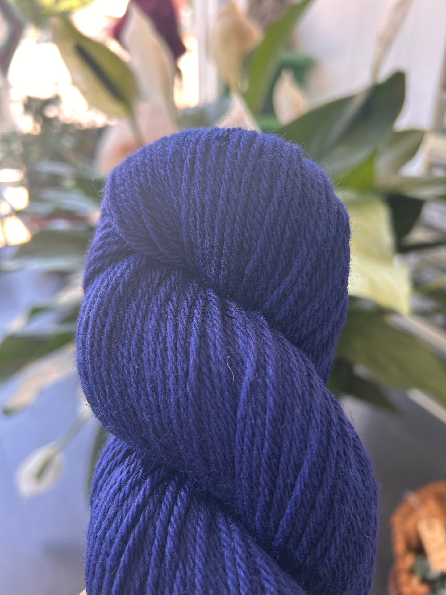 Cascade 220