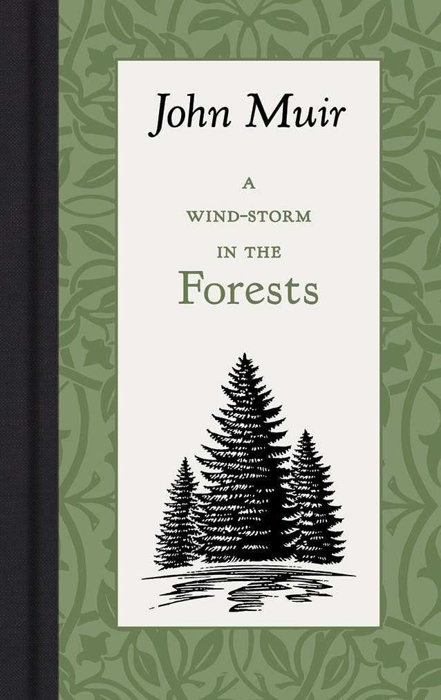 A Wind-Storm in the Forests