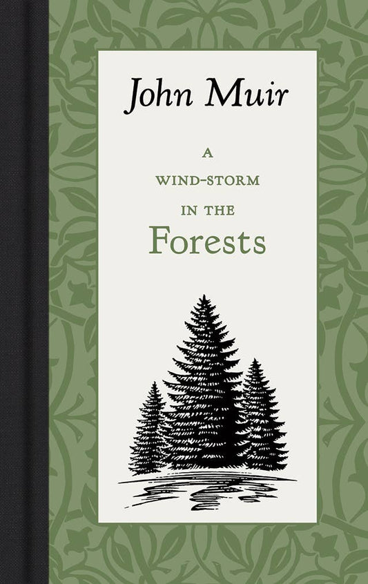 A Wind-Storm in the Forests