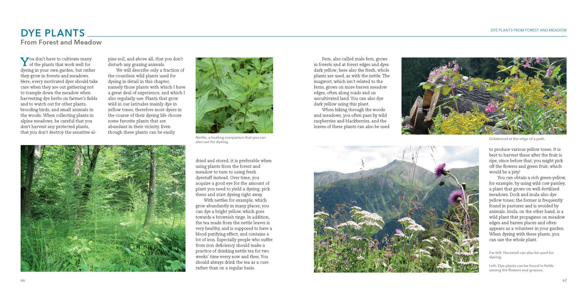 Natural Dyeing with Plants