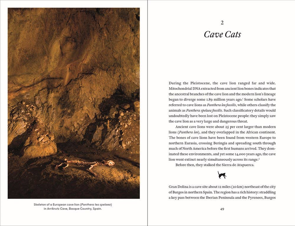 Cat Tales: A History