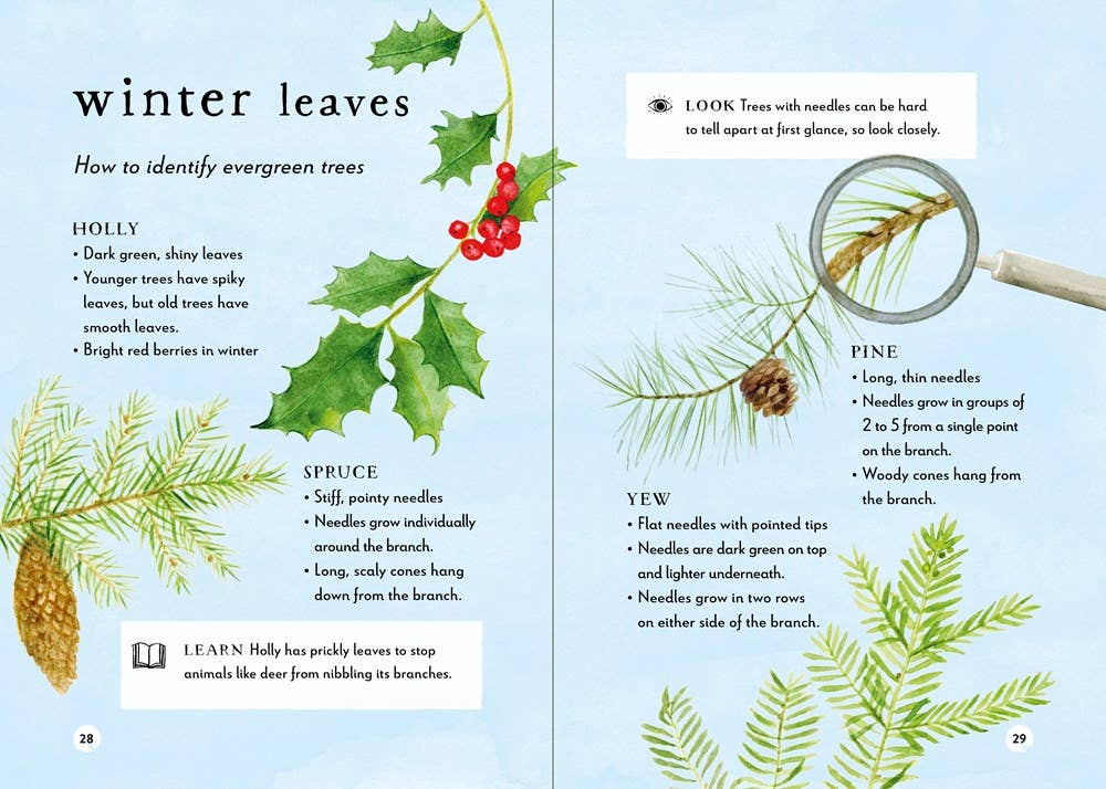 A Field Guide to Winter: Play and Learn in Nature