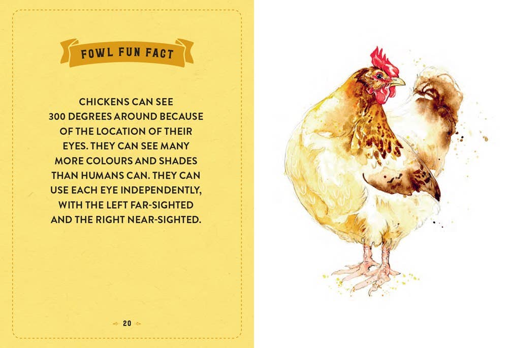 The Little Book of Chickens