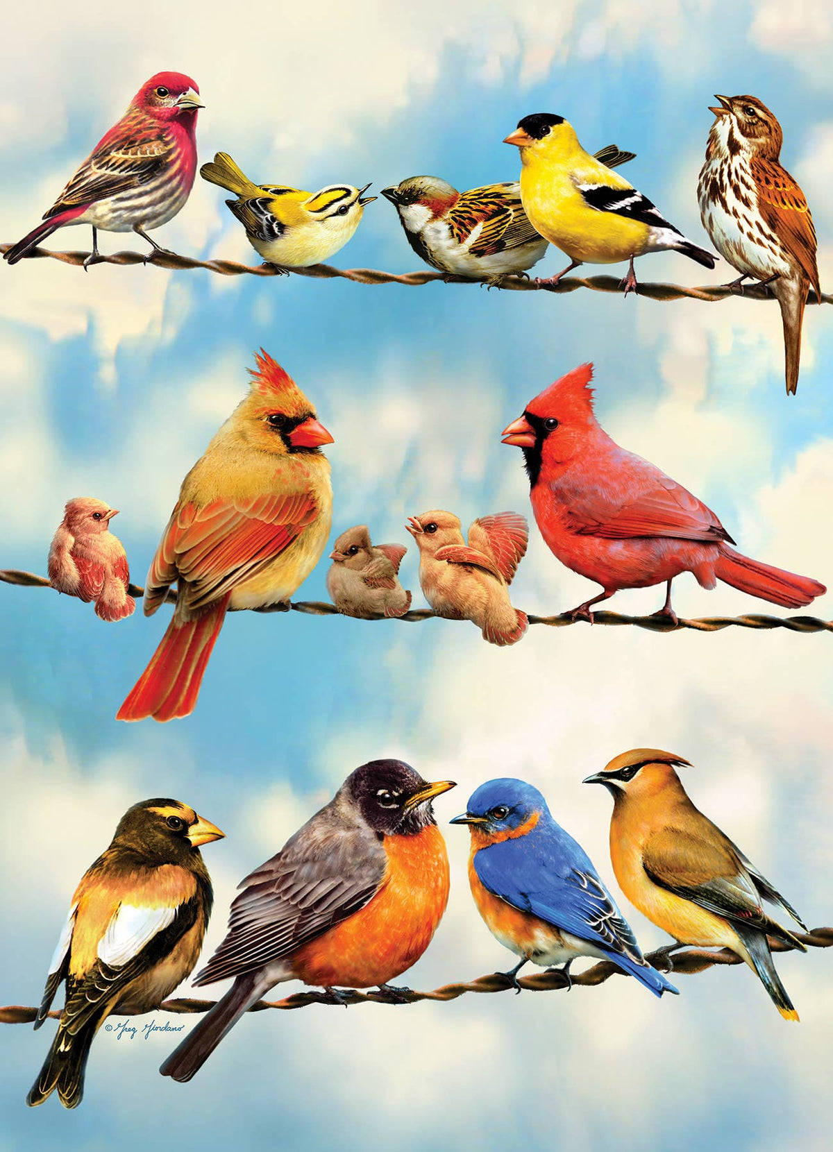 Birds on a Wire 500-Piece Cobble Hill Puzzle
