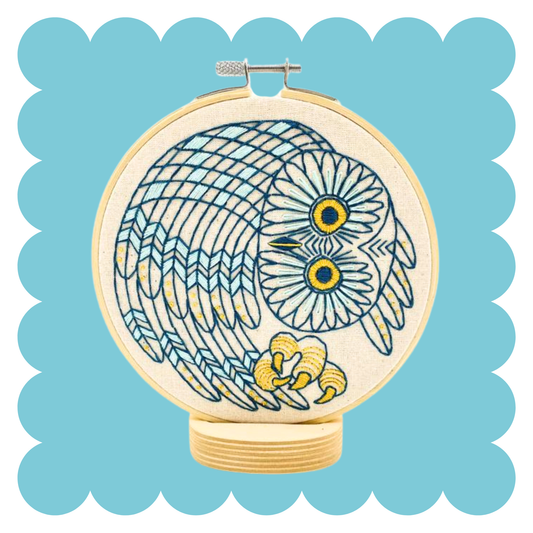 Saw Whet Owl Complete Embroidery Kit