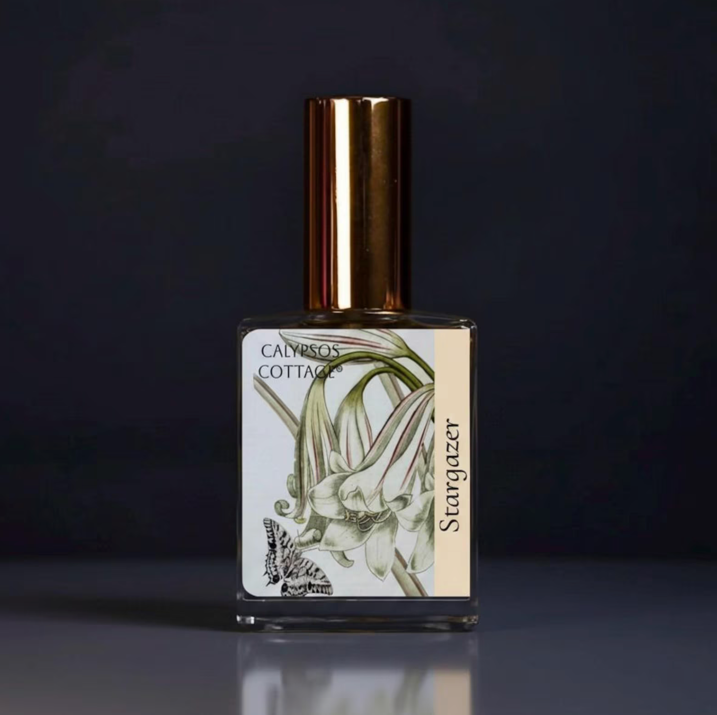 Stargazer Perfume