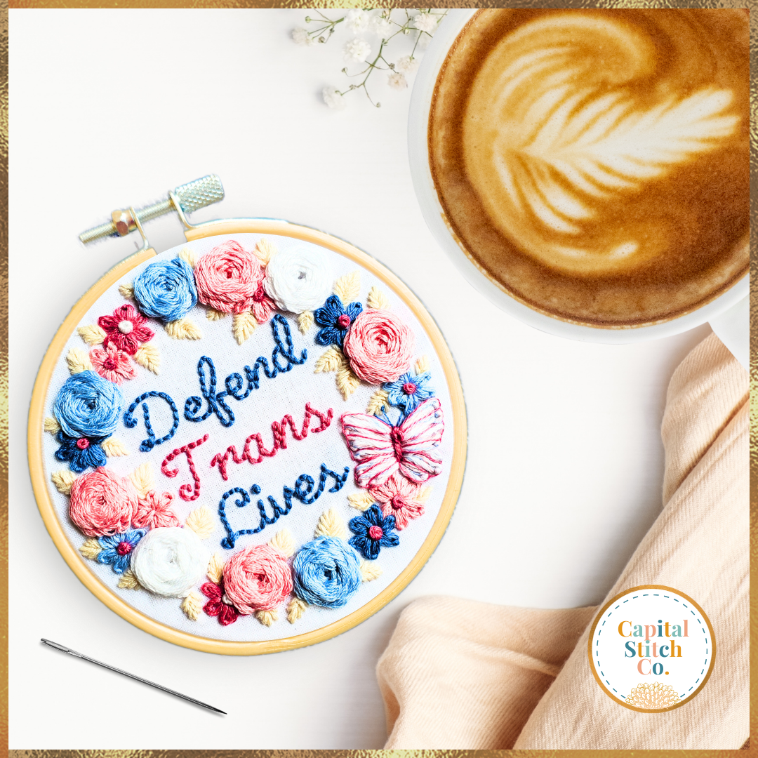 Defend Trans Lives Step by Step DIY Embroidery Kit