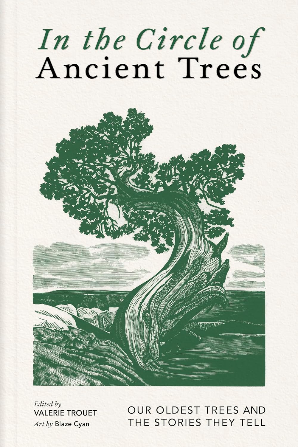 In the Circle of Ancient Trees: Our Oldest Trees and the Stories They Tell