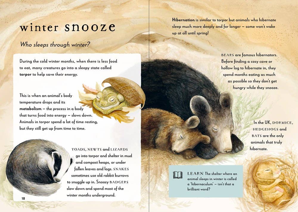 A Field Guide to Winter: Play and Learn in Nature