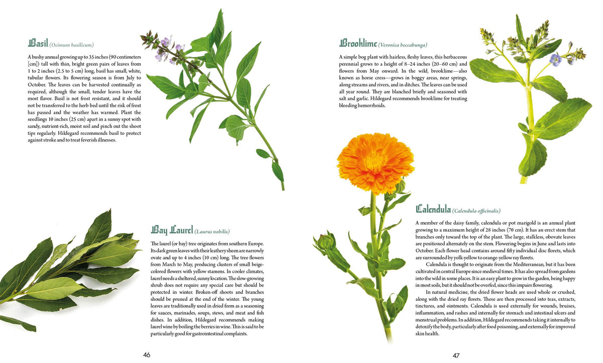 Saint Hildegard’s Guide to Wellness