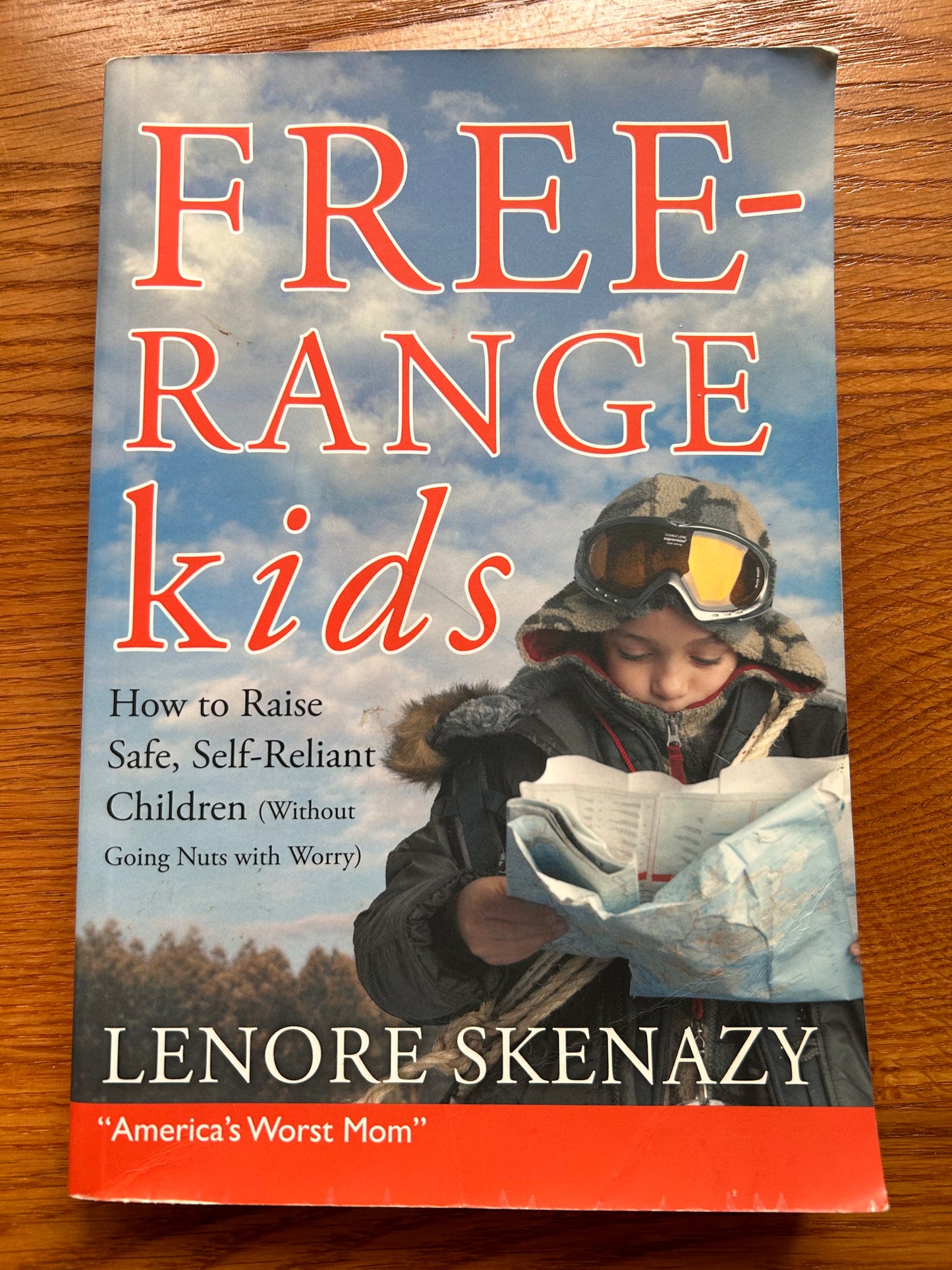 Free- Range Kids: How to Raise Safe, Self-Reliant Children (Without Going Nuts with Worry)