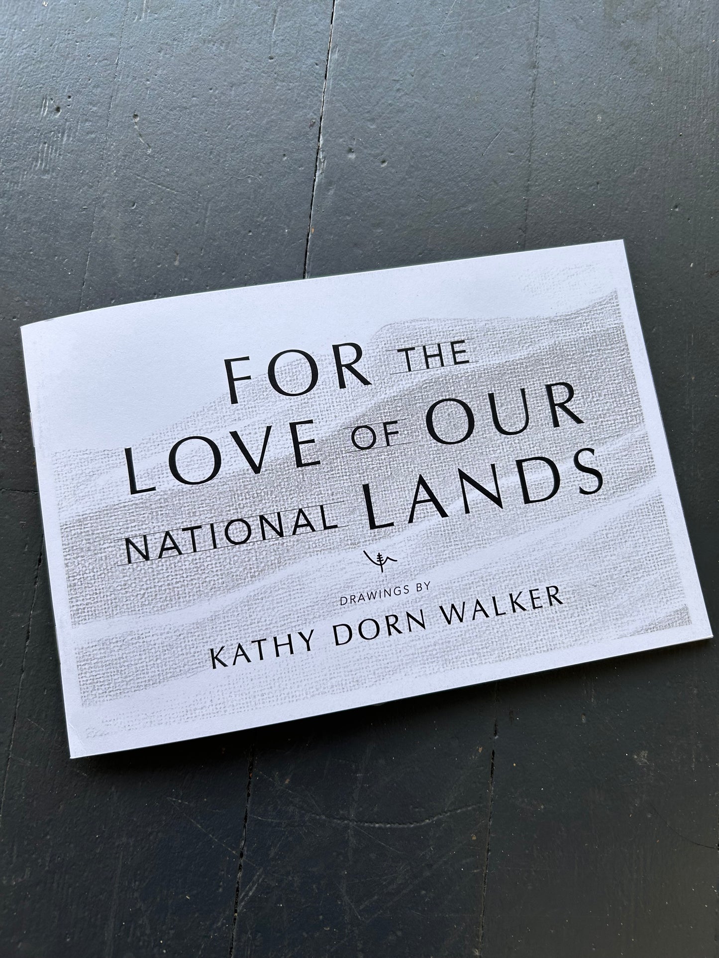 For the Love of Our National Lands: Reflections on Treasured Places