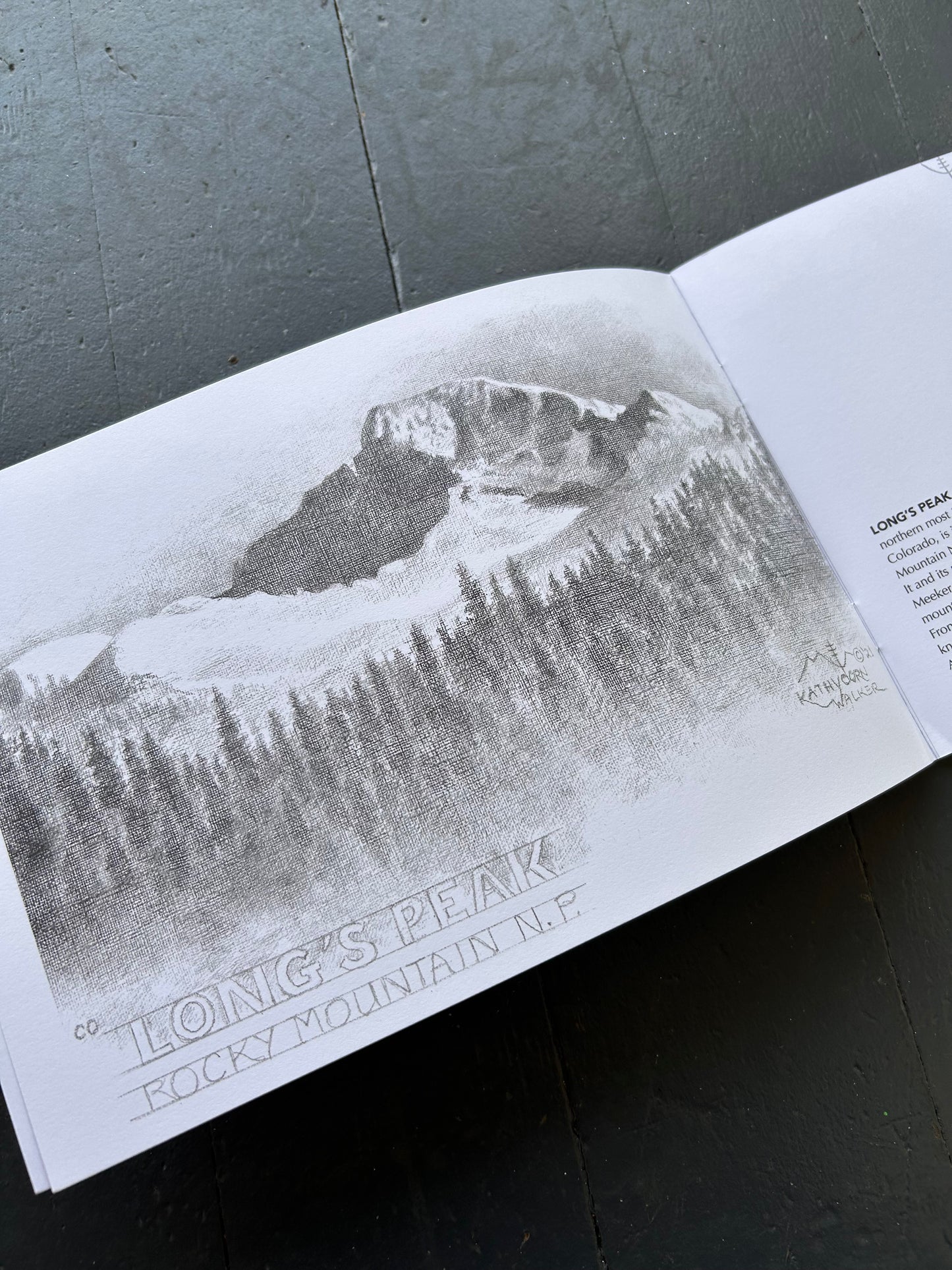 For the Love of Our National Lands: Reflections on Treasured Places