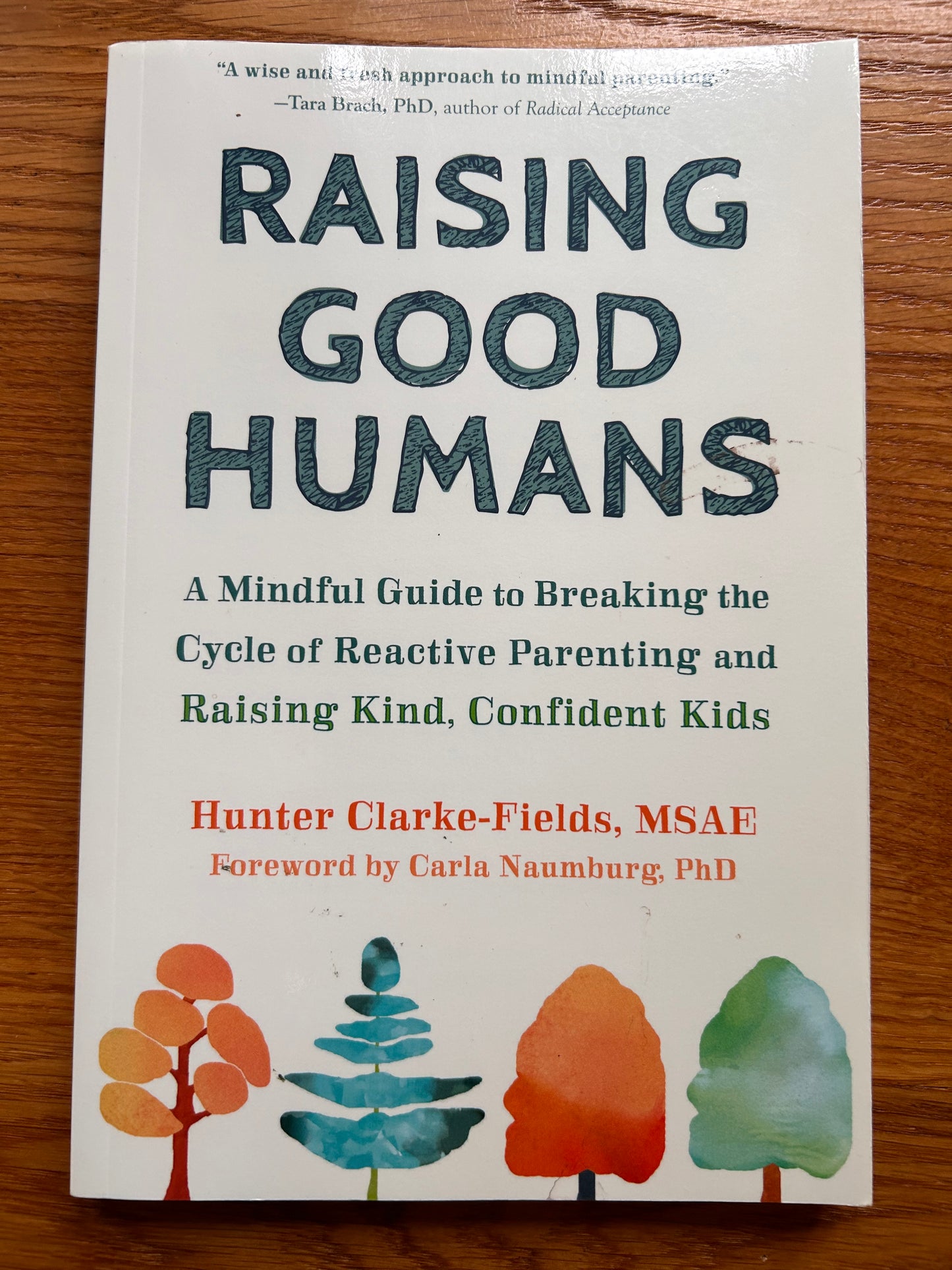 Raising Good Humans: A Mindful Guide to Breaking the Cycle of Reactive Parenting and Raising Kind, Confident Kids