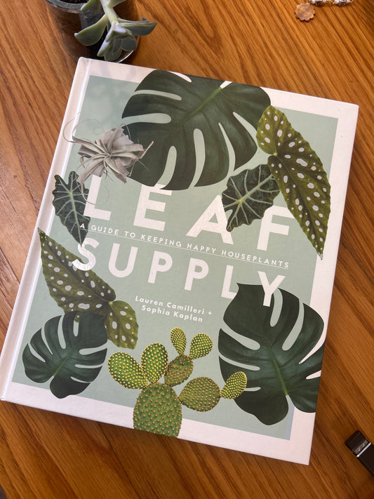 Leaf Supply: Guide to Keeping Happy Houseplants