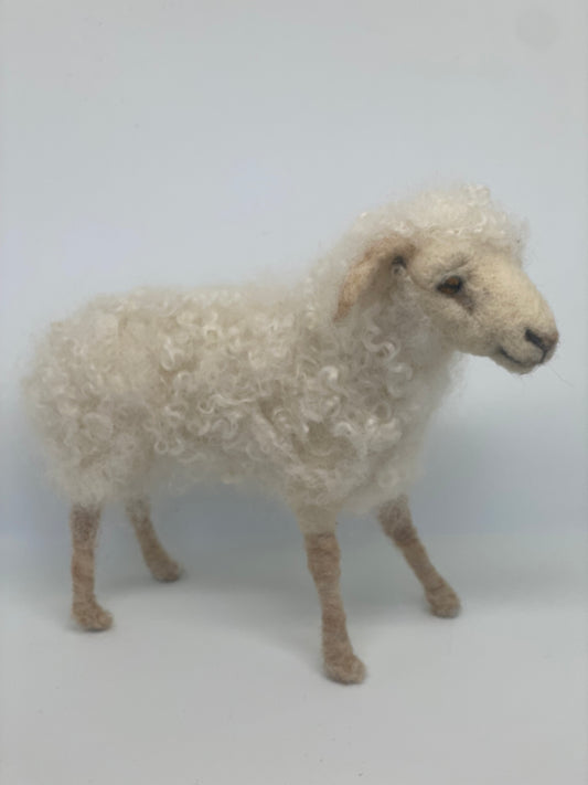 Felted with Armature Sheep Class