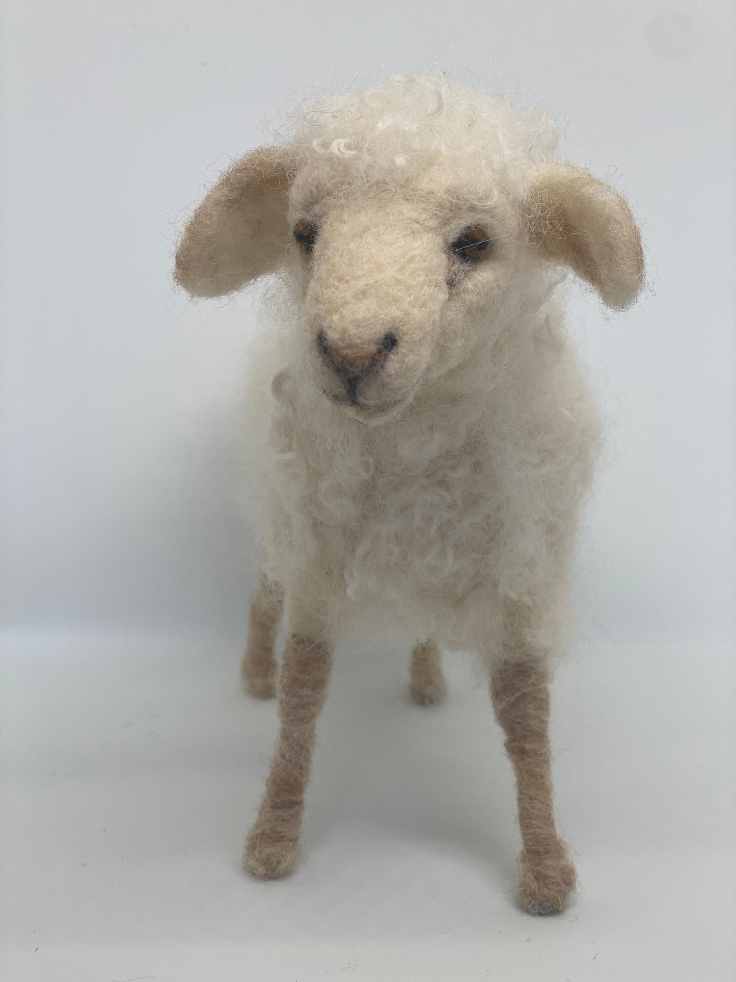 Felted with Armature Sheep Class