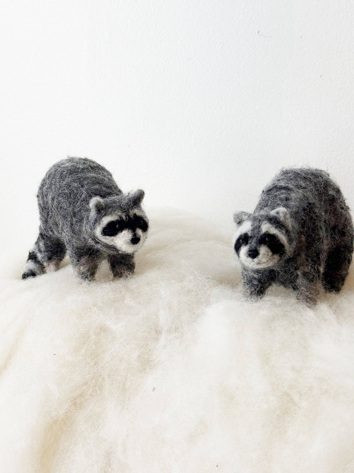 Raccoon Needle Felting Kit