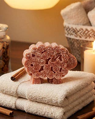 Apple Cinnamon Sheep Milk Soap – Handmade Natural Farm Soap
