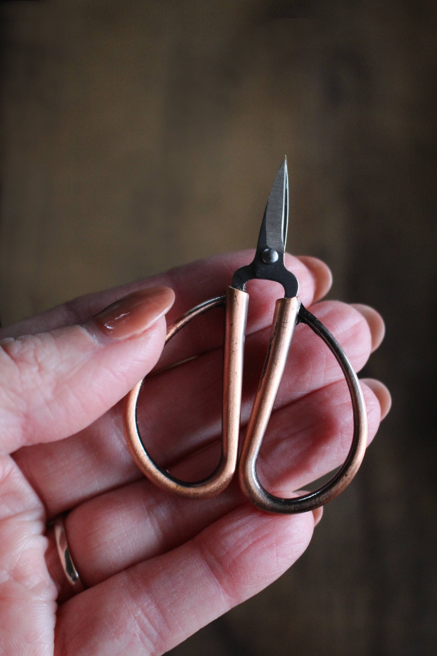 Mini Bonsai Snips