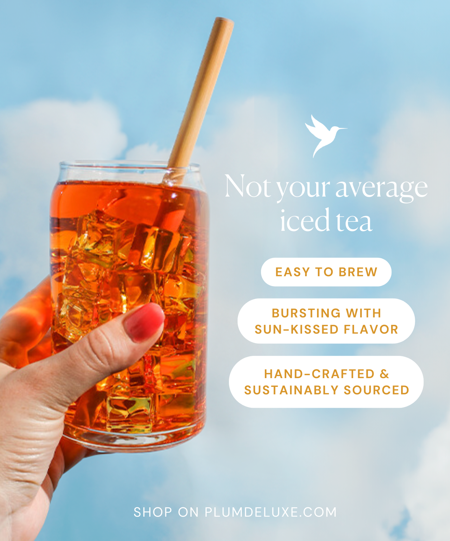 Hammock Blend Orange Creme Black Loose Leaf Tea